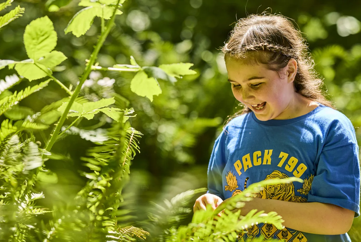 Cub Scout girl exploring plants in a sun-dappled forest